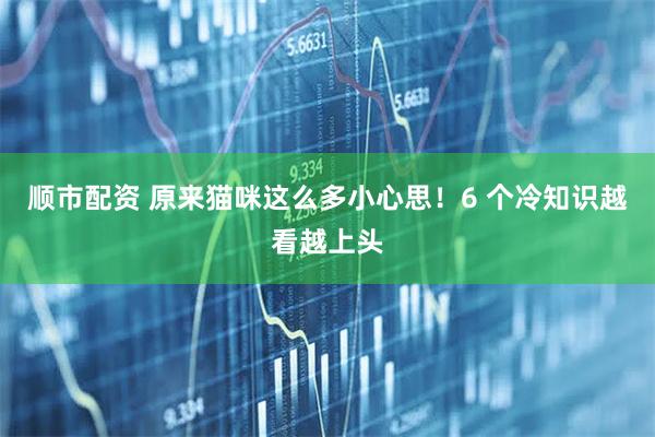 顺市配资 原来猫咪这么多小心思！6 个冷知识越看越上头