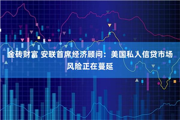 金砖财富 安联首席经济顾问：美国私人信贷市场风险正在蔓延