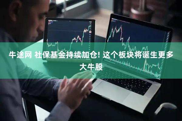牛途网 社保基金持续加仓! 这个板块将诞生更多大牛股