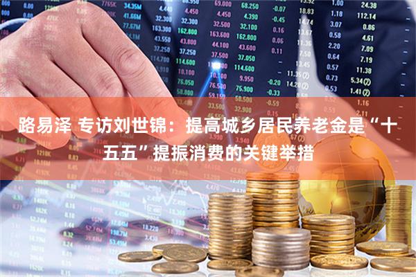 路易泽 专访刘世锦：提高城乡居民养老金是“十五五”提振消费的关键举措