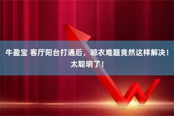 牛盈宝 客厅阳台打通后，晾衣难题竟然这样解决！太聪明了！