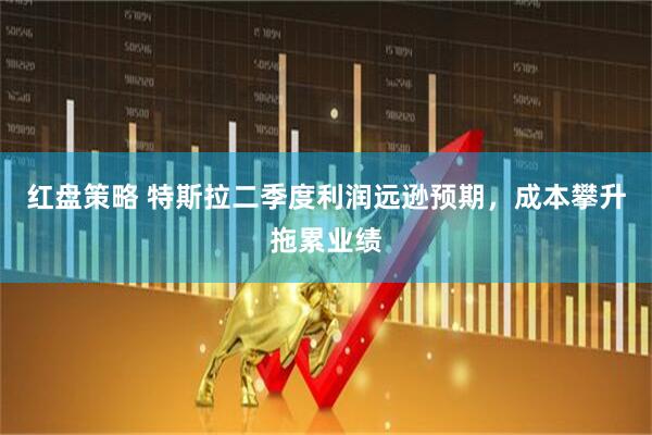 红盘策略 特斯拉二季度利润远逊预期，成本攀升拖累业绩