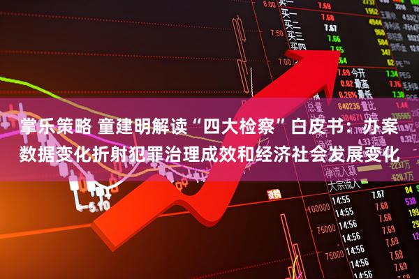 掌乐策略 童建明解读“四大检察”白皮书：办案数据变化折射犯罪治理成效和经济社会发展变化