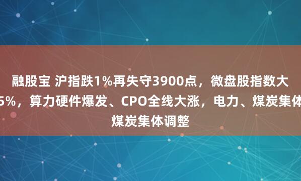 融股宝 沪指跌1%再失守3900点,微盘股指数大跌3.5%,算力硬件爆发、CPO全线大涨,电力、煤炭集体调整