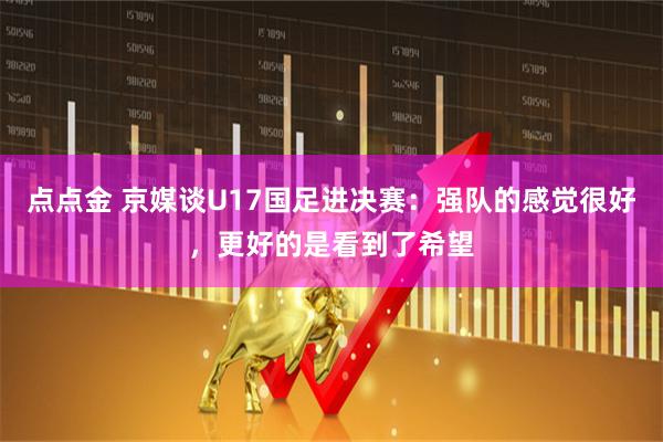 点点金 京媒谈U17国足进决赛：强队的感觉很好，更好的是看到了希望