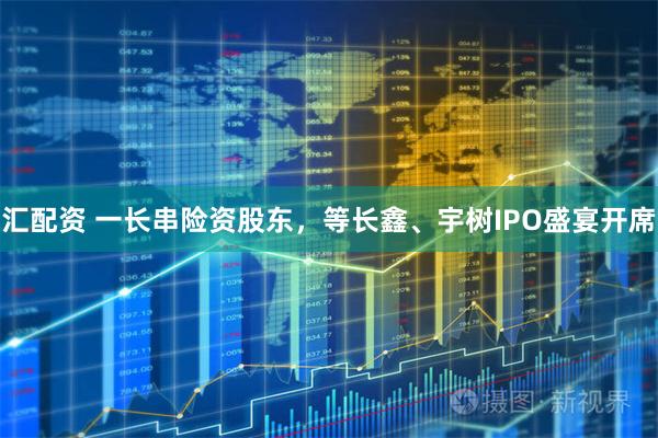 汇配资 一长串险资股东，等长鑫、宇树IPO盛宴开席