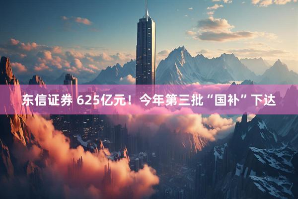 东信证券 625亿元！今年第三批“国补”下达