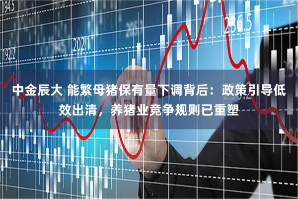 中金辰大 能繁母猪保有量下调背后：政策引导低效出清，养猪业竞争规则已重塑