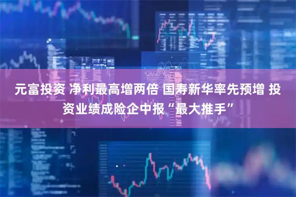 元富投资 净利最高增两倍 国寿新华率先预增 投资业绩成险企中报“最大推手”