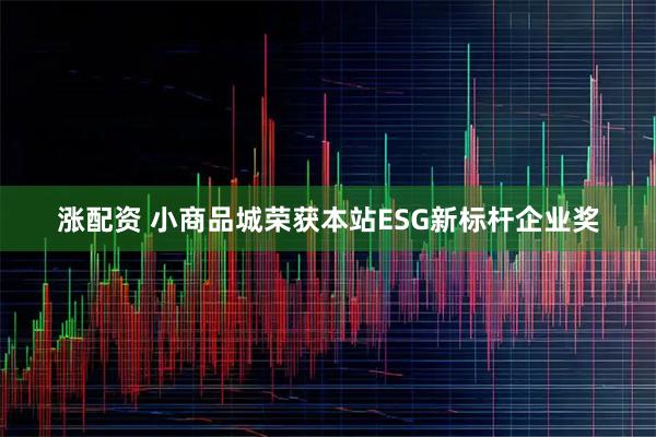 涨配资 小商品城荣获本站ESG新标杆企业奖