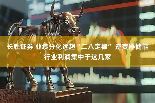 长胜证券 业绩分化远超“二八定律” 逆变器储能行业利润集中于这几家